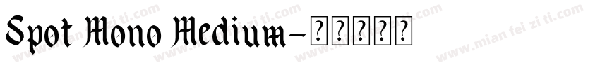 Spot Mono Medium字体转换